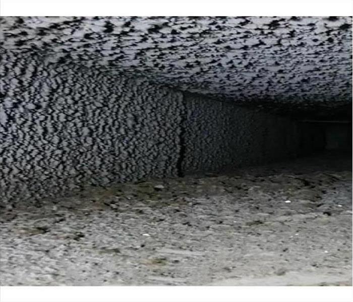 Dirt and debris filled air duct